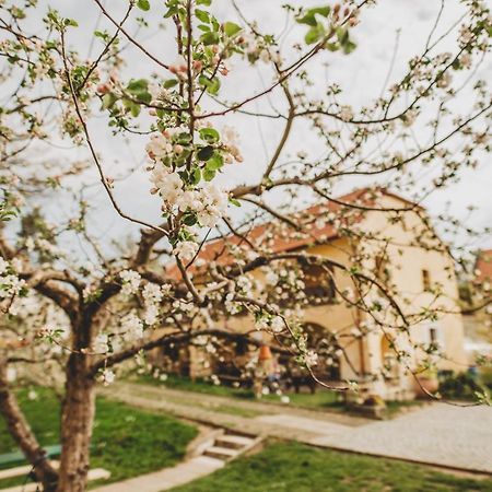 Boutique Apartman Speicher Prague Ngoại thất bức ảnh