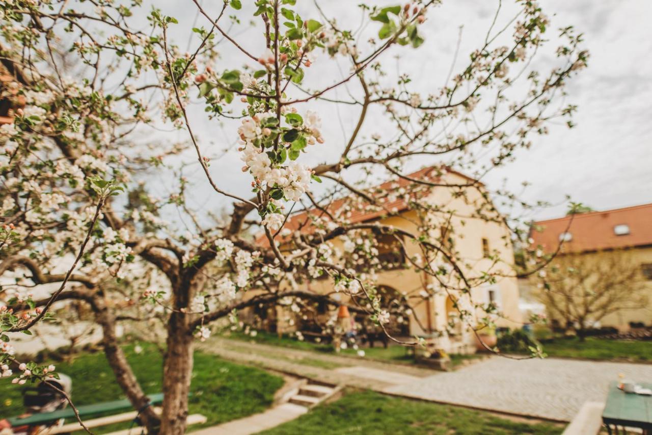 Boutique Apartman Speicher Prague Ngoại thất bức ảnh